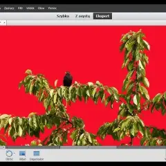 Jak wyciąć obraz w Photoshopie? Opanuj szparowanie jak pro!