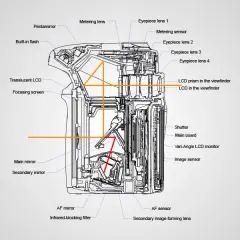 Jak działa lustrzanka dwuobiektywowa? Budowa i mechanizm TLR