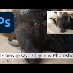 Jak powiększyć obraz w Photoshopie? AI ratuje jakość!