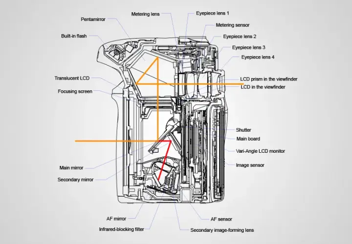 Jak działa lustrzanka dwuobiektywowa? Budowa i mechanizm TLR
