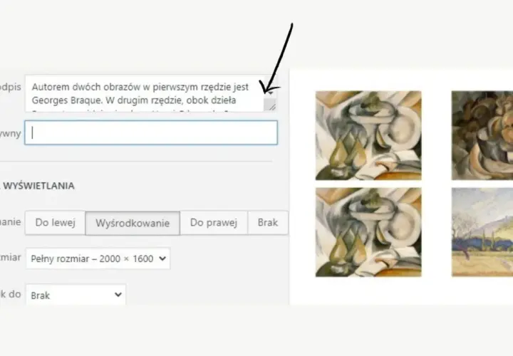 Obrazy w stylu kubistycznym, autorstwa Georges'a Braque'a. Wpisz tekst alternatywny dla dzieł.