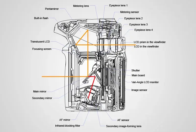 Jak działa lustrzanka dwuobiektywowa? Budowa i mechanizm TLR