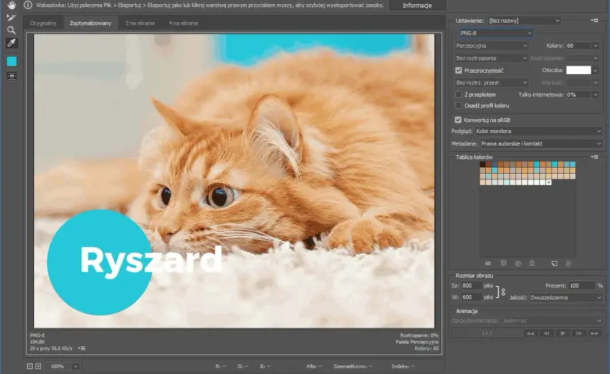 PNG - kiedy warto go użyć, a kiedy wybrać inny format