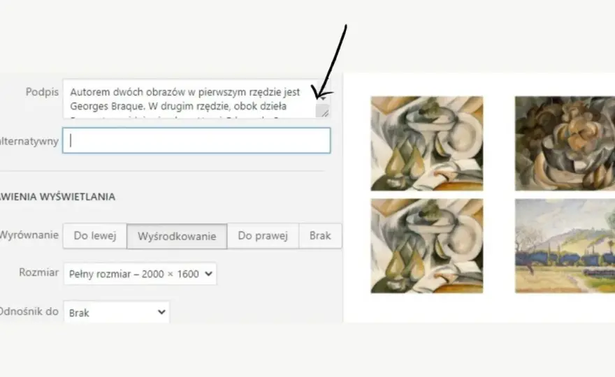 Podpis pod zdjęciem w druku - zasady, układ i typografia