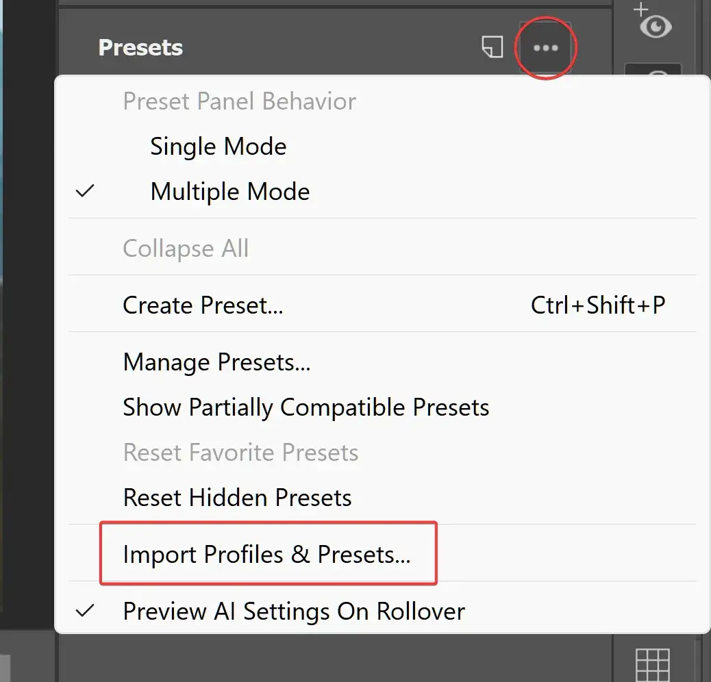 Adobe Camera Raw panel import presetów